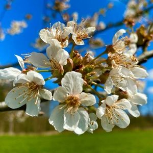 Meet your Posher, Elke